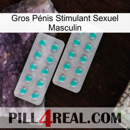 Gros Pénis Stimulant Sexuel Masculin 29